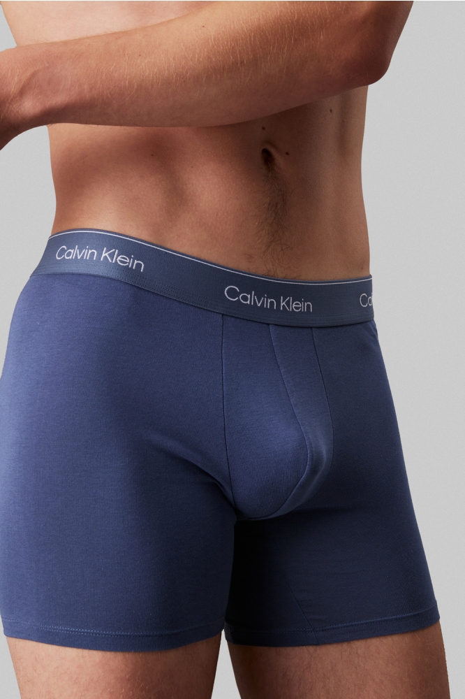 BOXER BRIEF 3PK LV00NB4394 VNTG INDG/MCR CHP/MLTN W/ DTM WB
